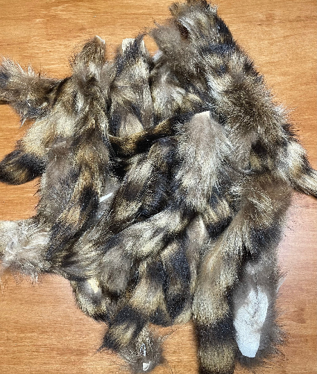 Raccoon Tails