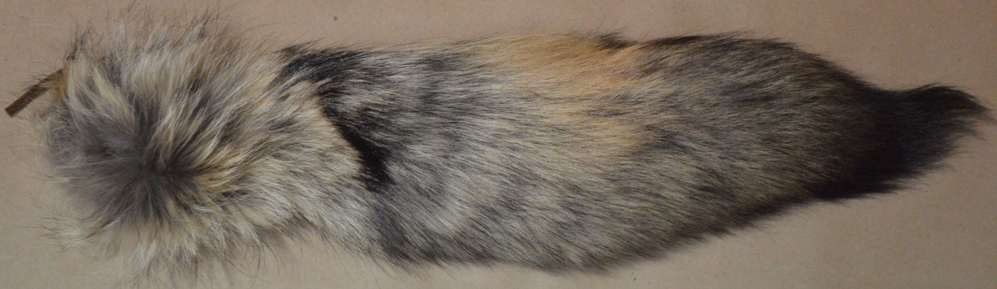 Coyote Tails