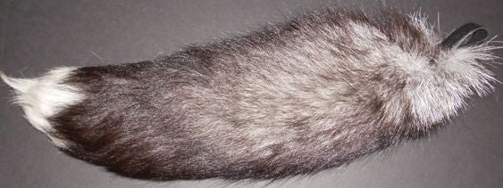 Silver Fox Tails