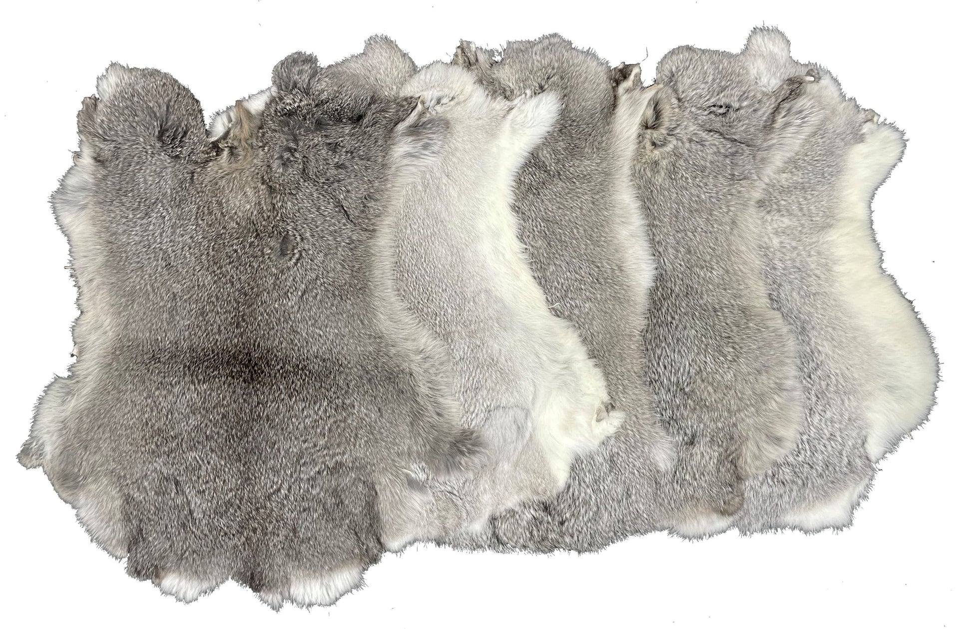 6 NATURAL GREY GENUINE RABBIT SKIN new solf tan hide fur pelt craft skins  bunny