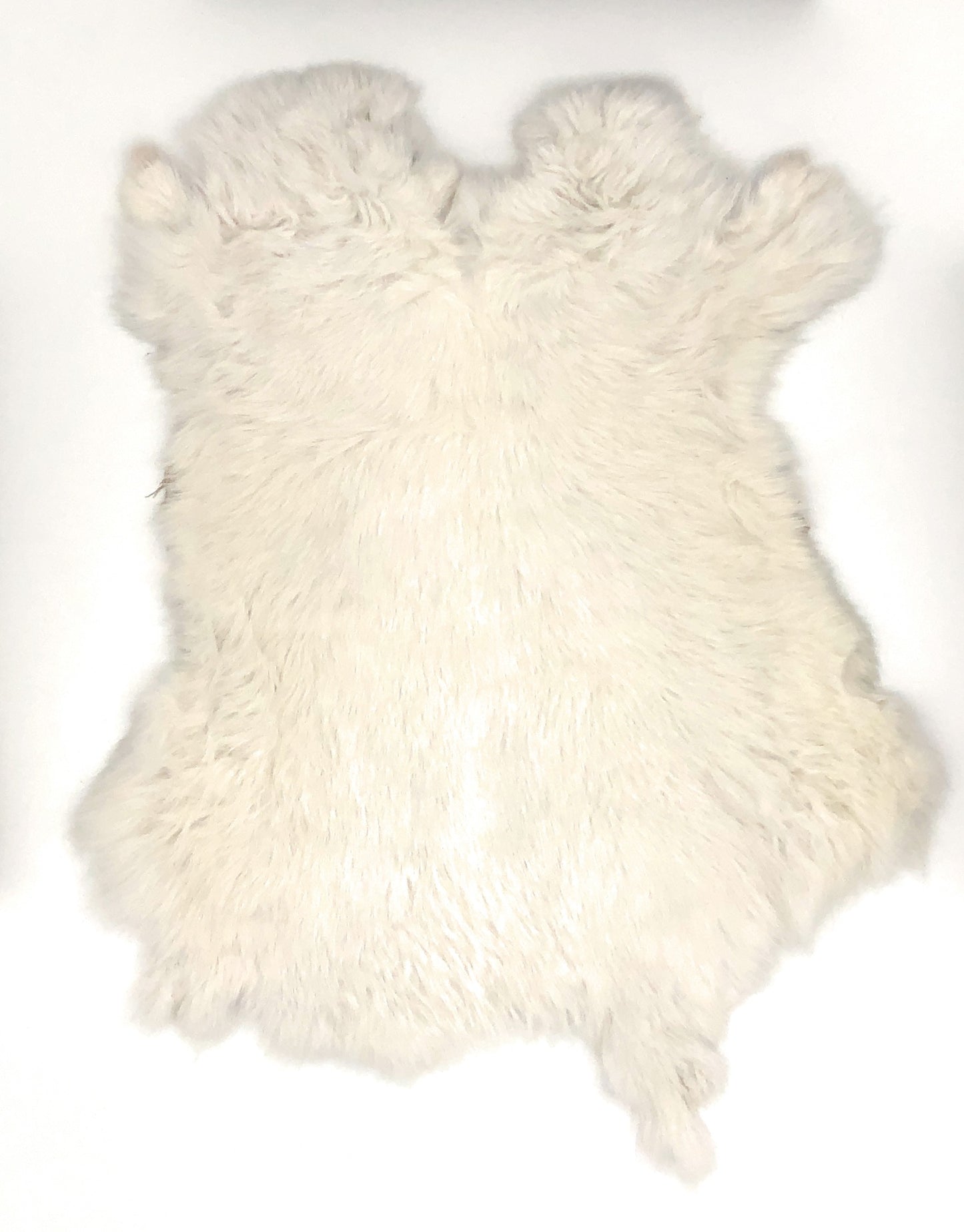 Assorted Bulk Grade Natural Rabbit Pelt with Fur (10 by 14) Rabbit Skins  Fur Hide Leather for Decoration & Crafts Cat/Dog Toys Soft Professionally
