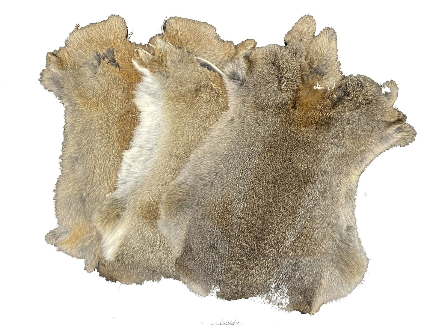 1 Pcs Natural Color Rabbit Fur Pelts - Craft Grade Assorted!