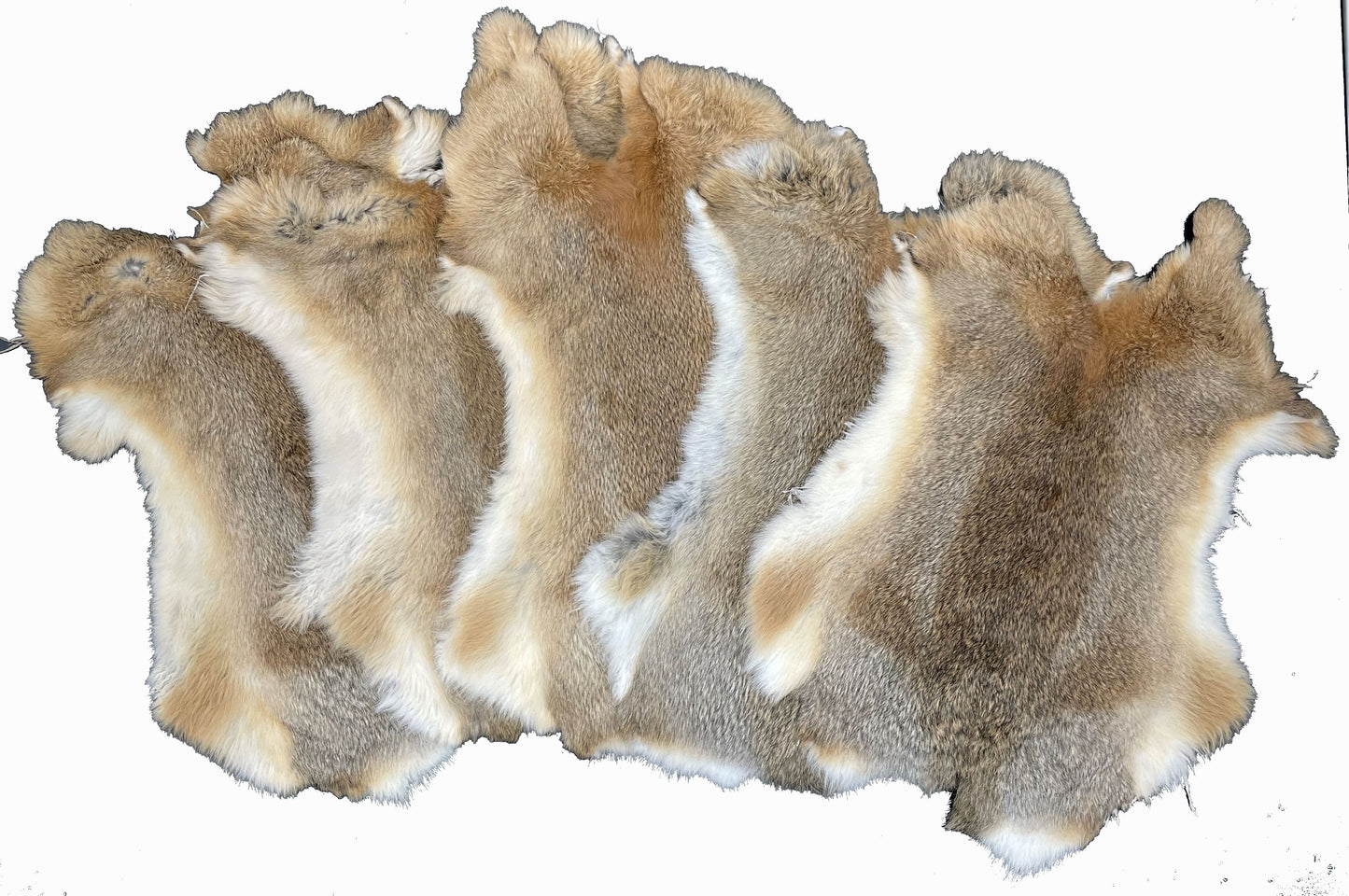 1 Pcs Natural Color Rabbit Fur Pelts - Craft Grade Assorted!